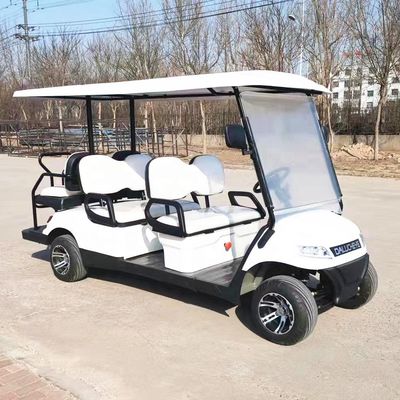 Conducción a mano izquierda Golf eléctrico Buggy de batería de litio Carritos de golf de 2 a 10 asientos