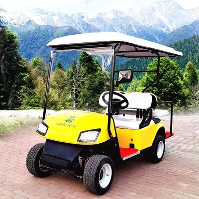 Conducción a mano izquierda Golf eléctrico Buggy de batería de litio Carritos de golf de 2 a 10 asientos