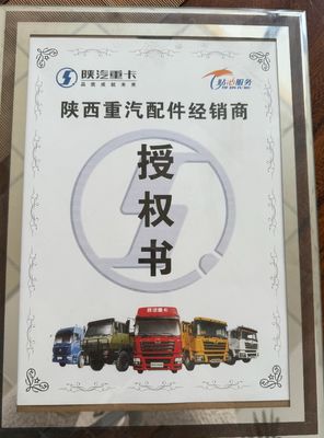 Shaanxi Shacman Delong camión X3000 piezas de repuesto Espejo retrovisor para reemplazo/reparación